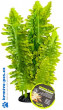 Dekorace umělá rostlina - kapradí Komodo 25cm