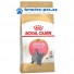 Royal Canin feline British Shorthair Kitten 2kg