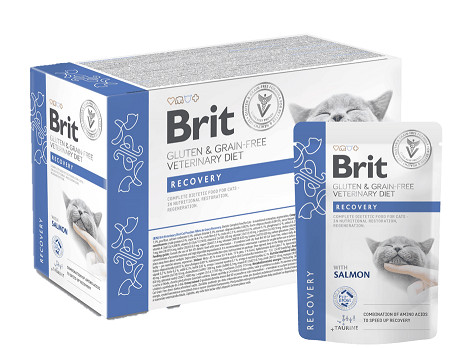 Brit VD Cat Pouch fillets in Gravy Recovery 12x85g