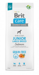 Brit Care Dog Grain-free Salmon Junior Large Breed 12kg