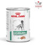 Royal Canin VD Canine Glycobalance konzerva 410g