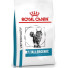 Royal Canin VD Cat Dry Anallergenic 4kg