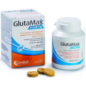 GlutaMax Forte tbl 20