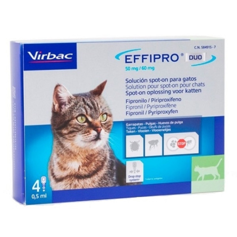 Effipro DUO Cat (1-6kg) 50/60 mg, 4x0,5ml