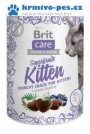 Brit Care Cat Snack Superfruits Kitten 100g