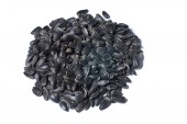 Avicentra slunečnice černá 1kg