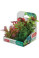 Rostliny akvarijní PLANTKIT 1 sada MINI 6ks Zolux