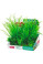 Rostliny akvarijní PLANTKIT 1 sada M Zolux