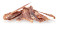 KIDDOG SUPER PREMIUM hovězí svalovina 70g