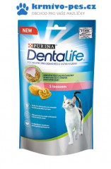 Purina DentaLife Cat salmon 40 g