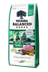 Velxara Balanced FM Dog Puppy&Junior Monoprotein Turkey&Rice 750g