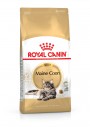 Royal Canin Breed Feline Maine Coon 10kg