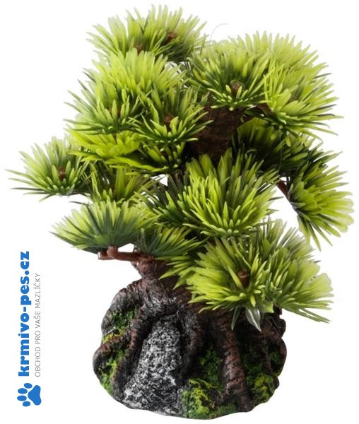 Dekorace do akvária - bonsai borovice 9,5cm Aqua Della