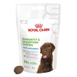 Royal Canin - Immunity & Digestion Puppy Supplements 100g
