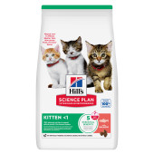 Hill's Science Plan Feline Kitten Salmon 7 kg