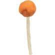 PREMIO Lolly, žvýkací lízátko s treskou 9 cm/ 15 g