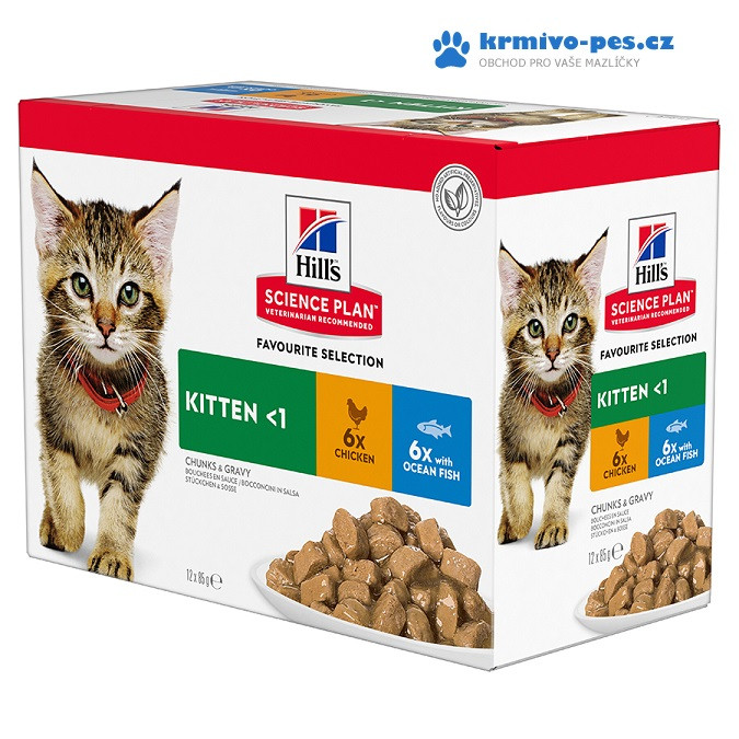 Hill's Science Plan Kitten 6 x kuře 6 x mořská ryba 12 x 85 g