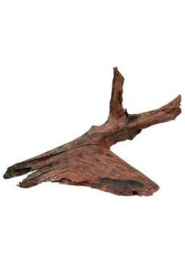 Zolux Kořen mangovník 25-40 cm