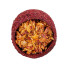 HamStake Sushi červená řepa, jablko 5x2cm