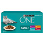 Purina ONE-Multipack Adult minifiletky maso,ryba,zelenina 40 x 85 g