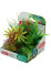 Rostliny akvarijní PLANTKIT 2 sada MINI 6ks Zolux