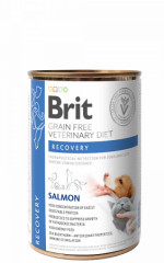 Brit Veterinary Diets Dog + Cat konzerva Recovery 400g