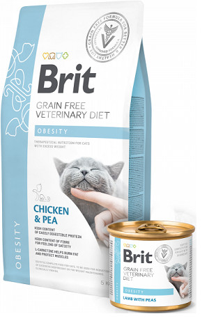 Brit VD Cat GF Obesity 400 g