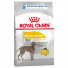 Royal Canin - Canine Maxi Dermacomfort 12kg