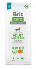 Brit Care Dog Grain-free Adult Salmon Large Breed 3kg