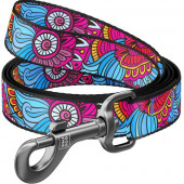 Vodítko nylon 25mmx122cm WAUDOG Summer