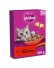 Whiskas Dry s hovězím masem 300g