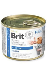 Brit VD Dog+Cat GF konzerva Recovery 200g