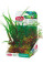 Rostliny akvarijní PLANTKIT 3 sada S Zolux