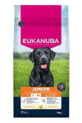 Eukanuba Dog Junior Large rich in fresh Chicken 15kg