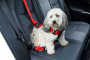 Postroj TRAVEL SAFE M Isofix červený Zolux