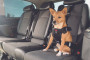 Postroj TRAVEL SAFE S Isofix černý Zolux