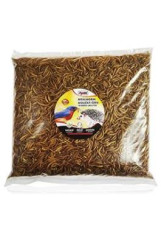 Apetit sušený Moučný červ 500g