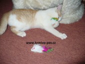 Hračka kočka Myš malá s peříčkem 5cm 1ks Tommi