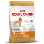 Royal Canin Breed Pudl 500g