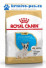 Royal Canin Breed Francouzský Buldoček Junior 3kg