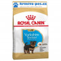 Royal Canin Breed Yorkshire Puppy/Junior 1,5kg