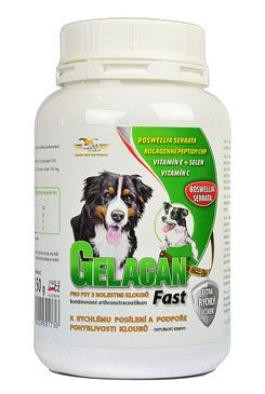 Orling Gelacan Fast 150g