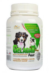 Gelacan Fast 150g