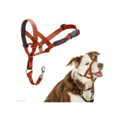 Ohlávka nylon Halti oranžová vel. 1 - westík, jezevčík COA