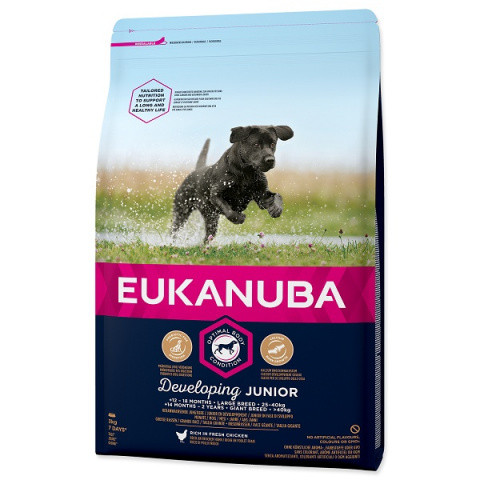 Eukanuba Dog Junior Large & Giant 15kg