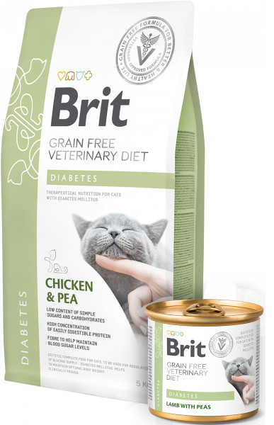 Brit VD Cat GF Diabetes Lamb with Peas 200 g
