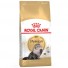 Royal Canin Breed Feline Persian  4kg