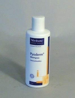 VIRBAC Pyoderm šampon 200ml