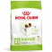 Royal Canin - Canine X-Small Adult +8 1,5 kg
