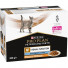 Purina PPVD Feline - NF Renal Advanced Care Chicken kapsička 10x85g